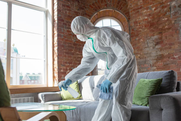 Biohazard Mold Removal in Chicago Ridge, IL